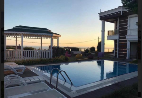 villa darıca